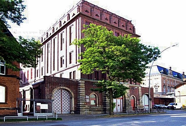 Rechtsanwältin Pinar